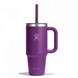 tt24psc526-24-oz-travel-tumbler-beachplum-purple-straight